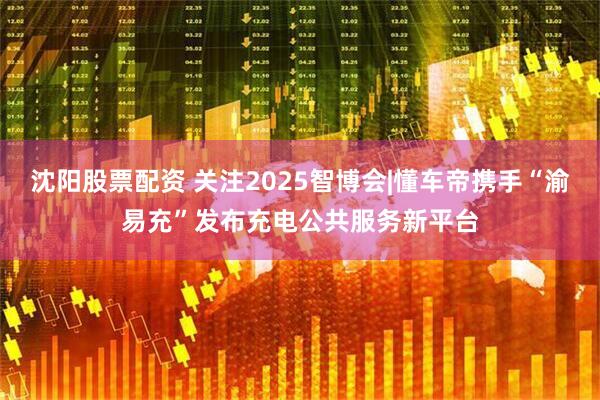 沈阳股票配资 关注2025智博会|懂车帝携手“渝易充”发布充电公共服务新平台