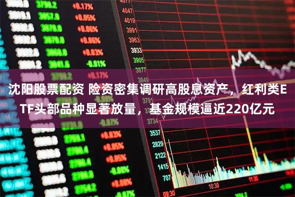 沈阳股票配资 险资密集调研高股息资产，红利类ETF头部品种显著放量，基金规模逼近220亿元