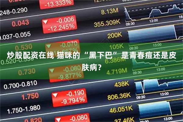 炒股配资在线 猫咪的 “黑下巴” 是青春痘还是皮肤病？