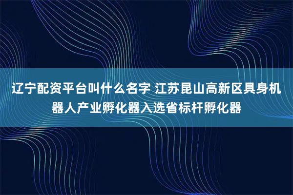 辽宁配资平台叫什么名字 江苏昆山高新区具身机器人产业孵化器入选省标杆孵化器
