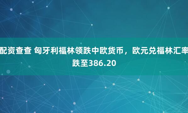 配资查查 匈牙利福林领跌中欧货币，欧元兑福林汇率跌至386.20
