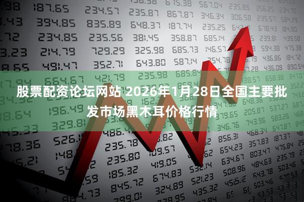 股票配资论坛网站 2026年1月28日全国主要批发市场黑木耳价格行情