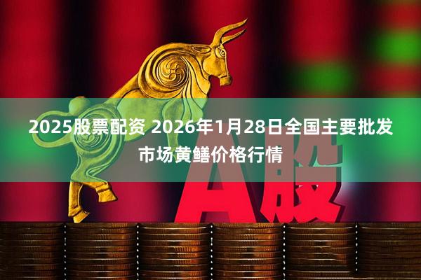 2025股票配资 2026年1月28日全国主要批发市场黄鳝价格行情