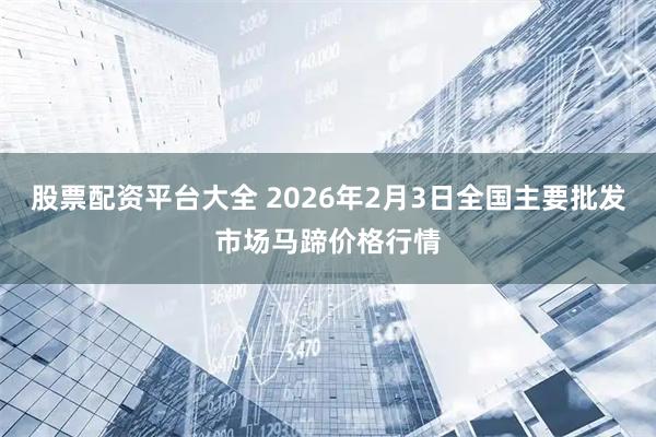 股票配资平台大全 2026年2月3日全国主要批发市场马蹄价格行情