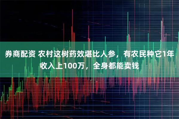 券商配资 农村这树药效堪比人参，有农民种它1年收入上100万，全身都能卖钱