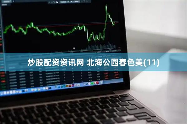炒股配资资讯网 北海公园春色美(11)